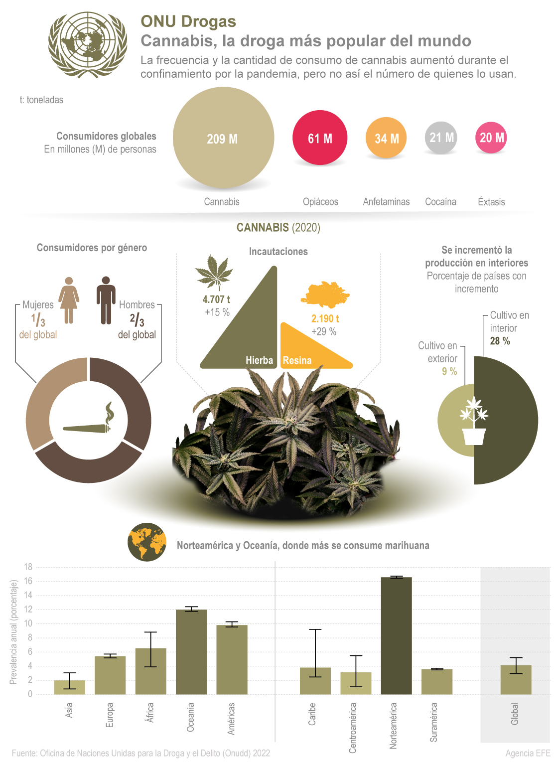 Cannabis, la droga más popular del mundo