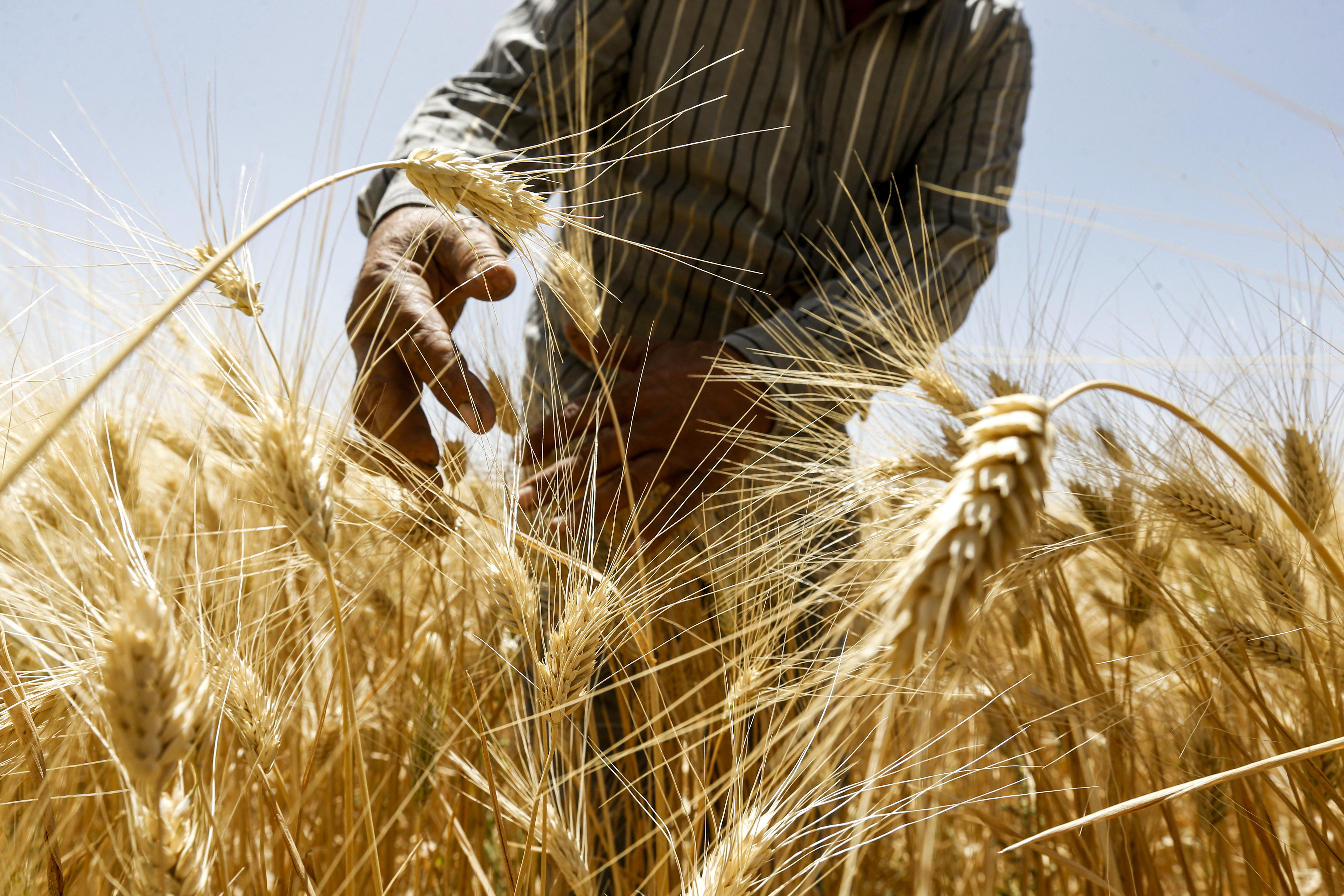 Preocupa el aumento de precios de los alimentos.