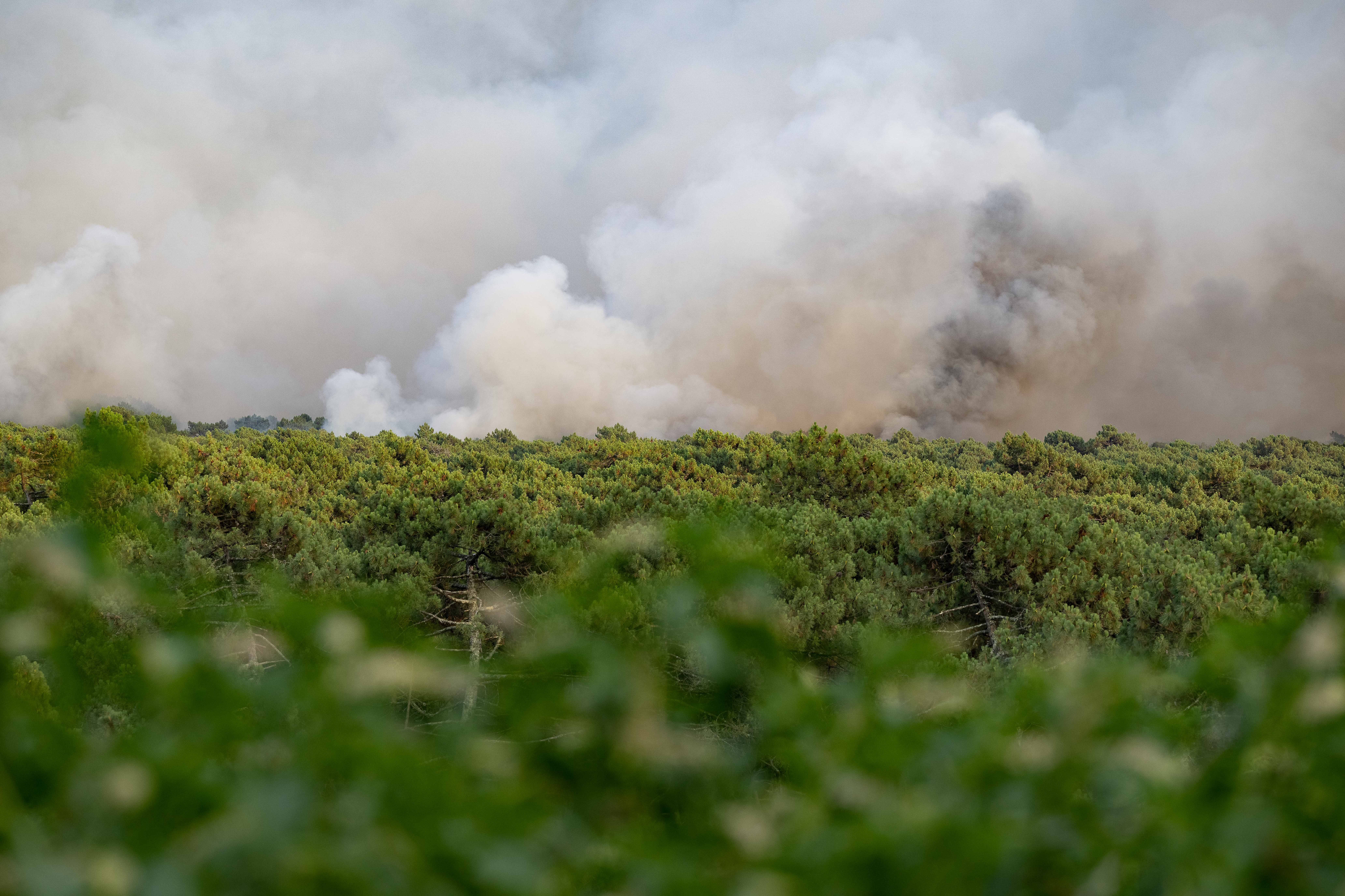 Forest fire in La Teste de Buch, South West France