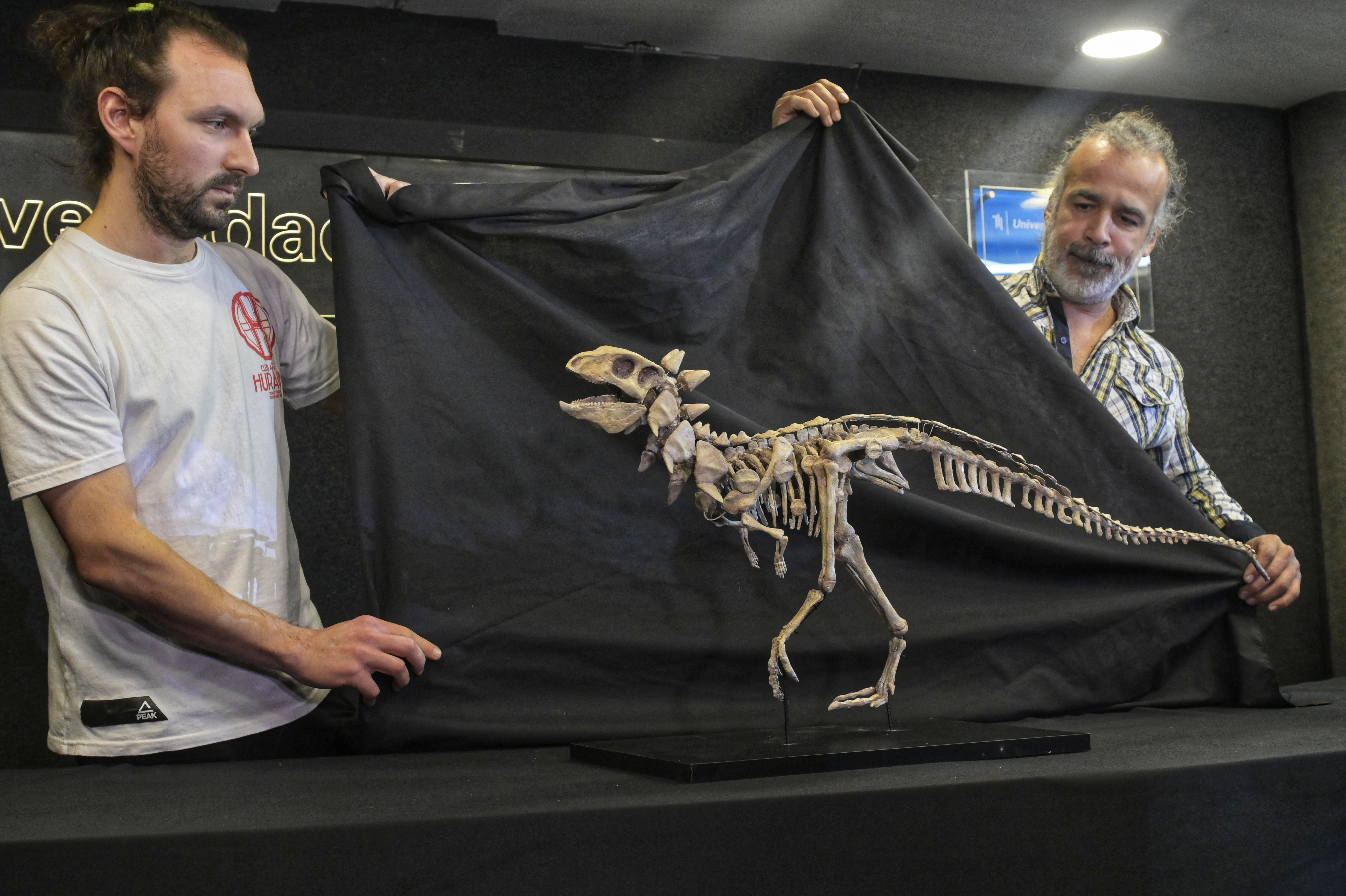 Presentan a Jakapil, el primer dinosaurio de su tipo encontrado en el  Hemisferio Sur « Diario La Capital de Mar del Plata