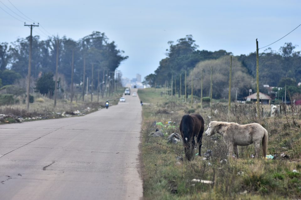 El municipio confirmó que la Zona Roja funcionará en la avenida 10 de