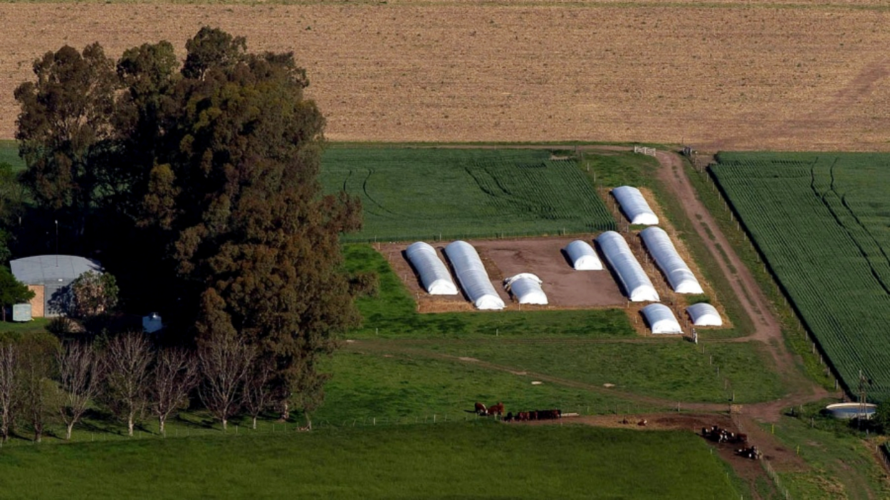 soja-silos-campo