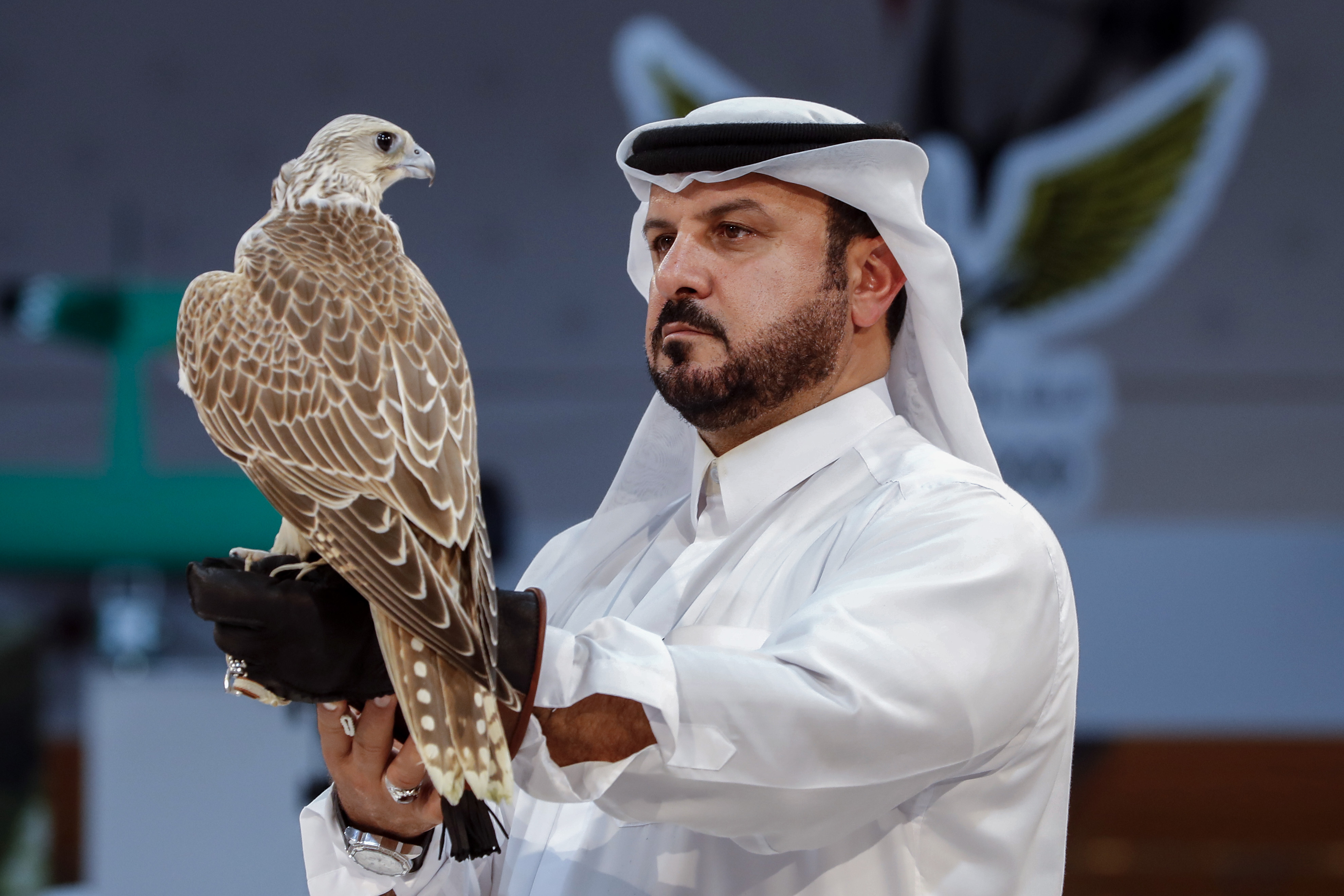 El halcón milenario de Qatar 2022: turismo, lujo y tradición