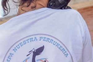 Nota