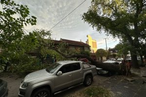 Nota