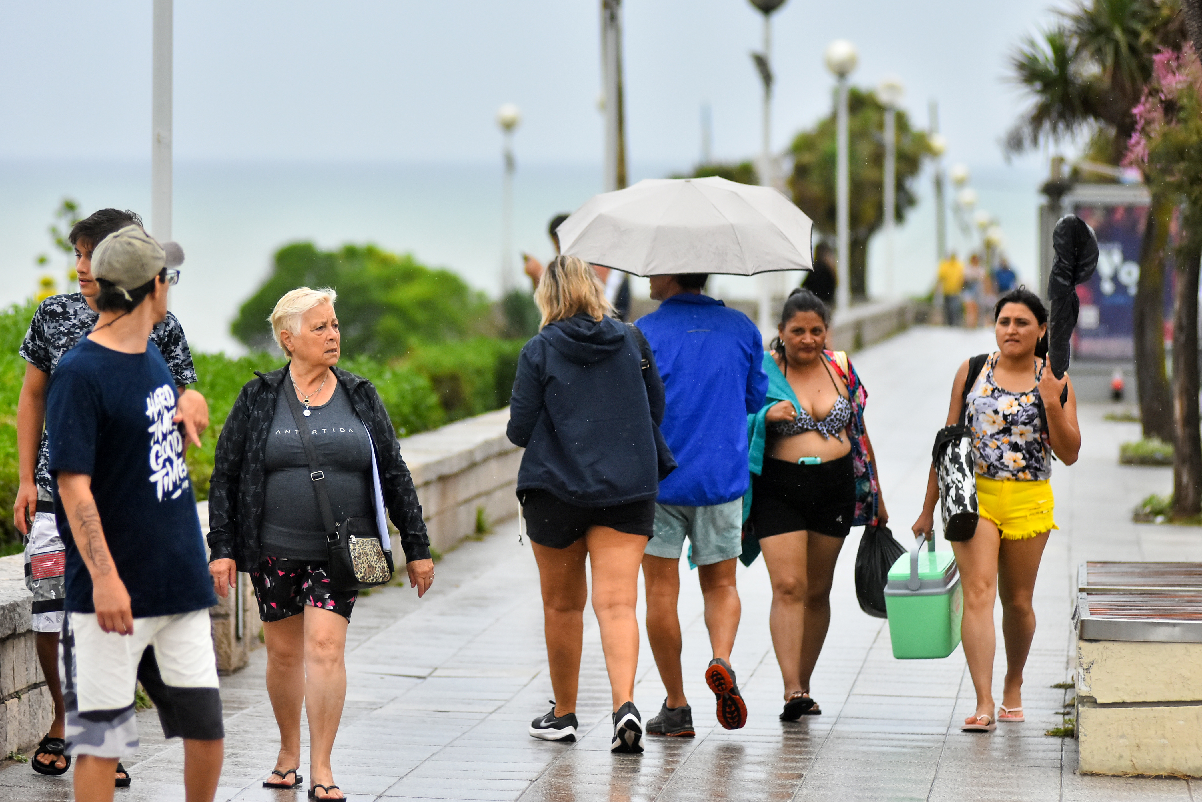 Lluvia  12