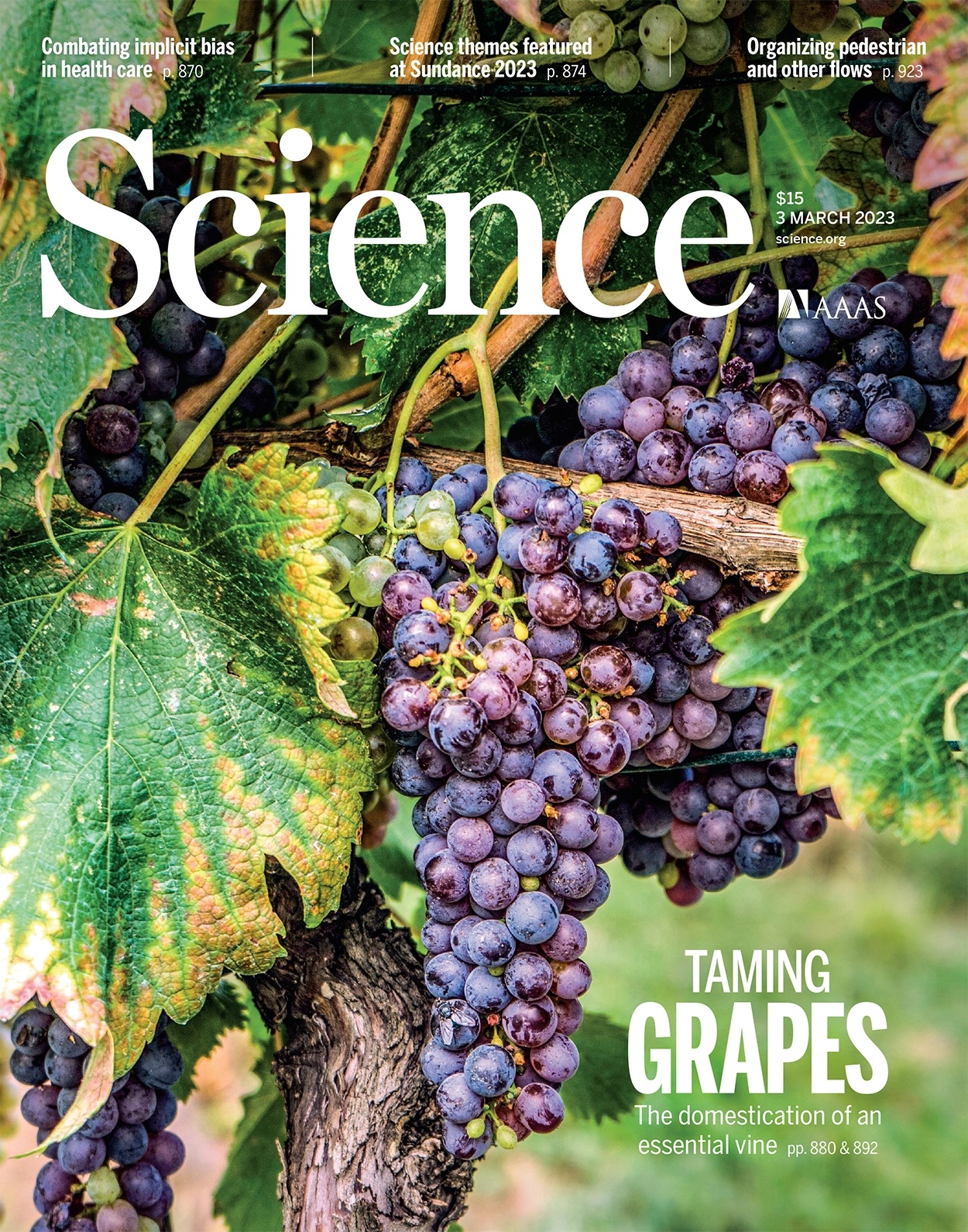 science-grapes-03032023
