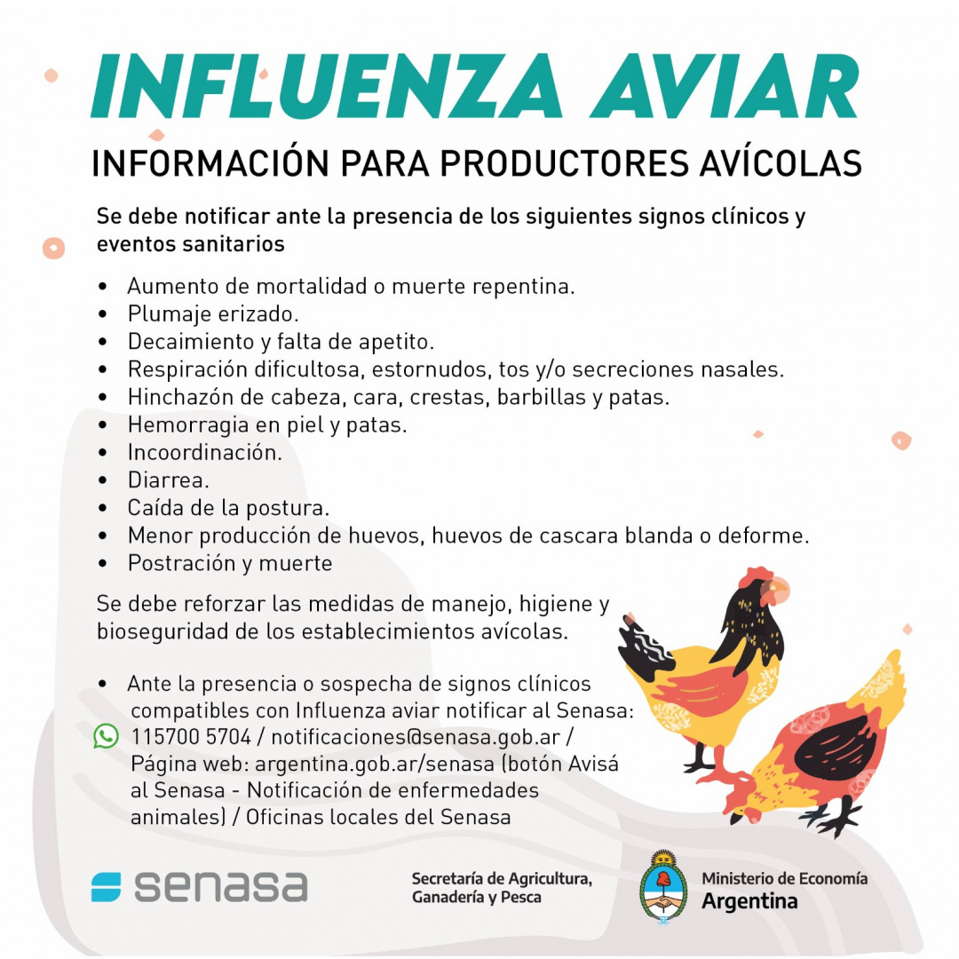 signos de alarma gripe aviar