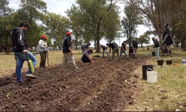 Labores agrícolas del Proyecto Artigas en Entre Ríos.