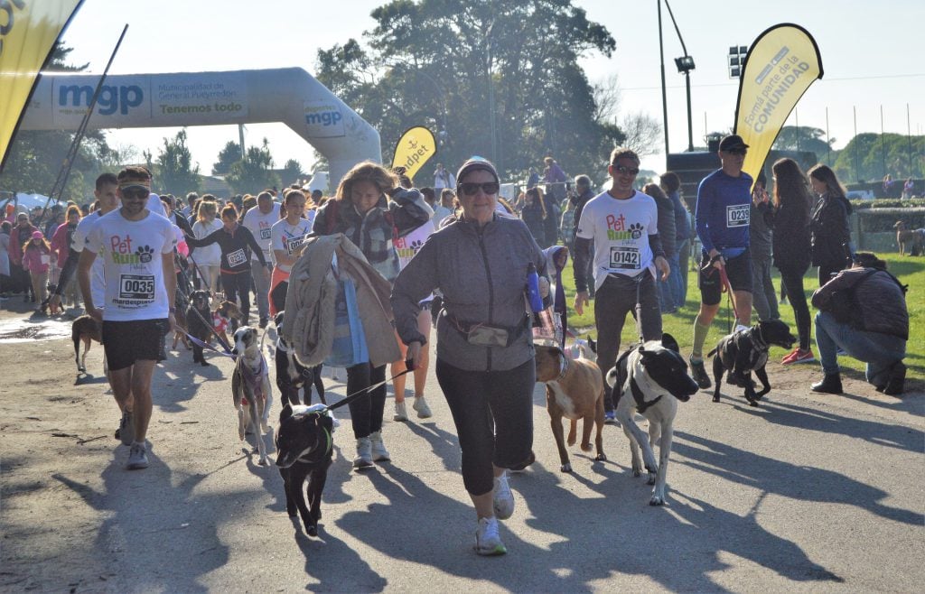 A pleno sol. Familias con perros de todas las razas y tamaños participaron en una gran jornada solidaria en Parque Camet.