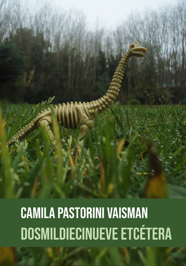 Cepes publicó poemas de Camila Pastorini Vaisman, quien invita a experimentar la intimidad de quien se mira desde afuera. 