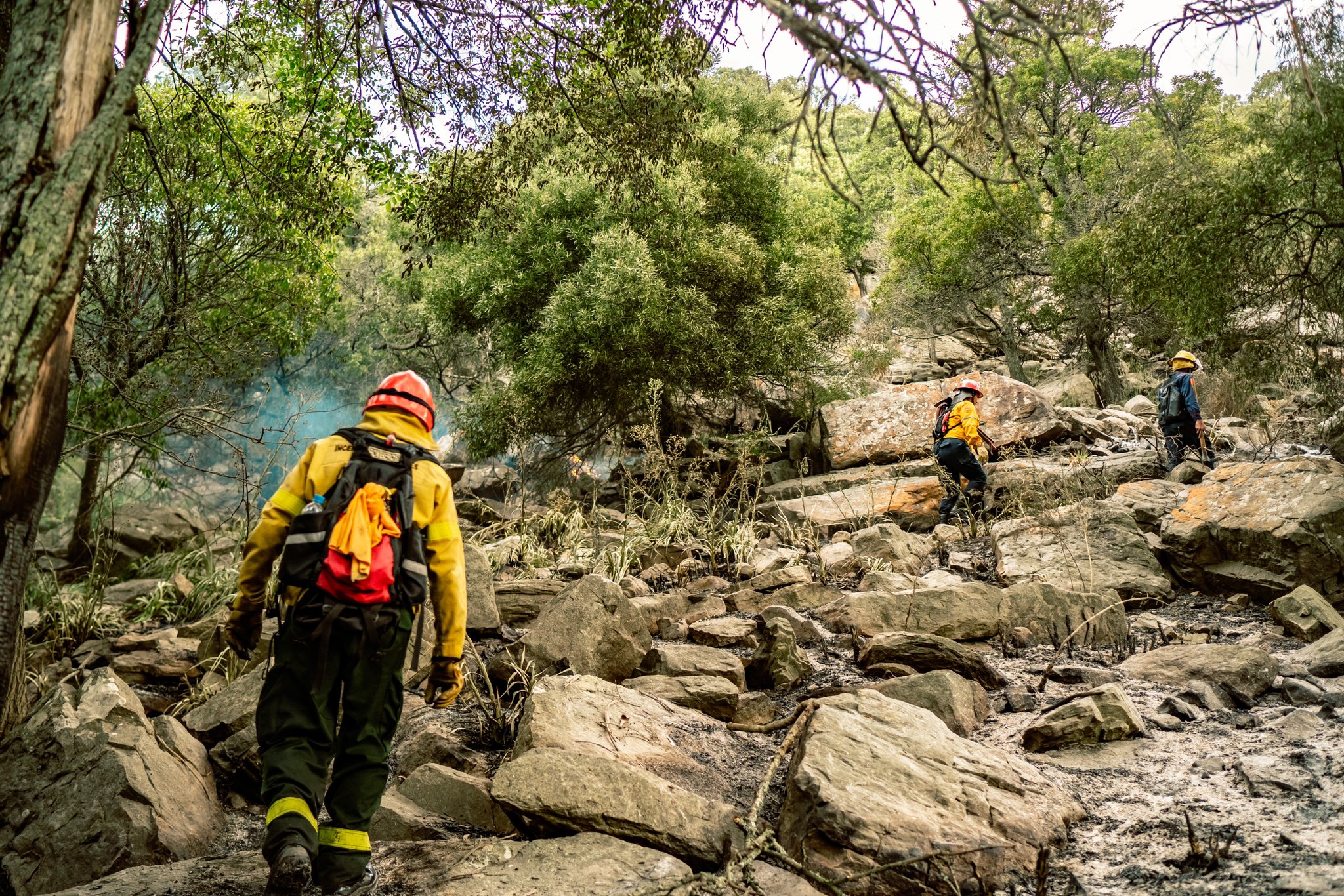 incendio forestal