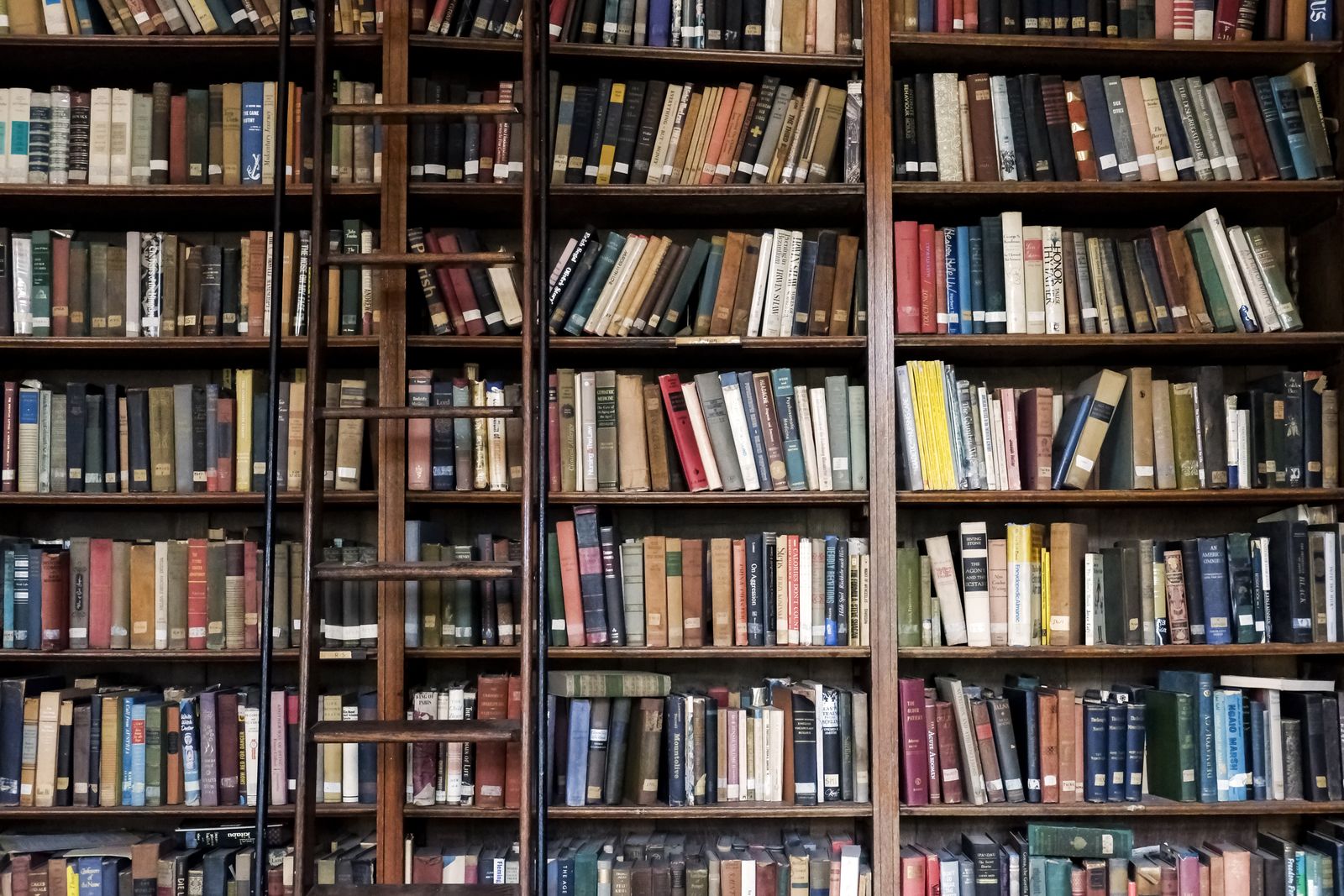 libreria+libros+books