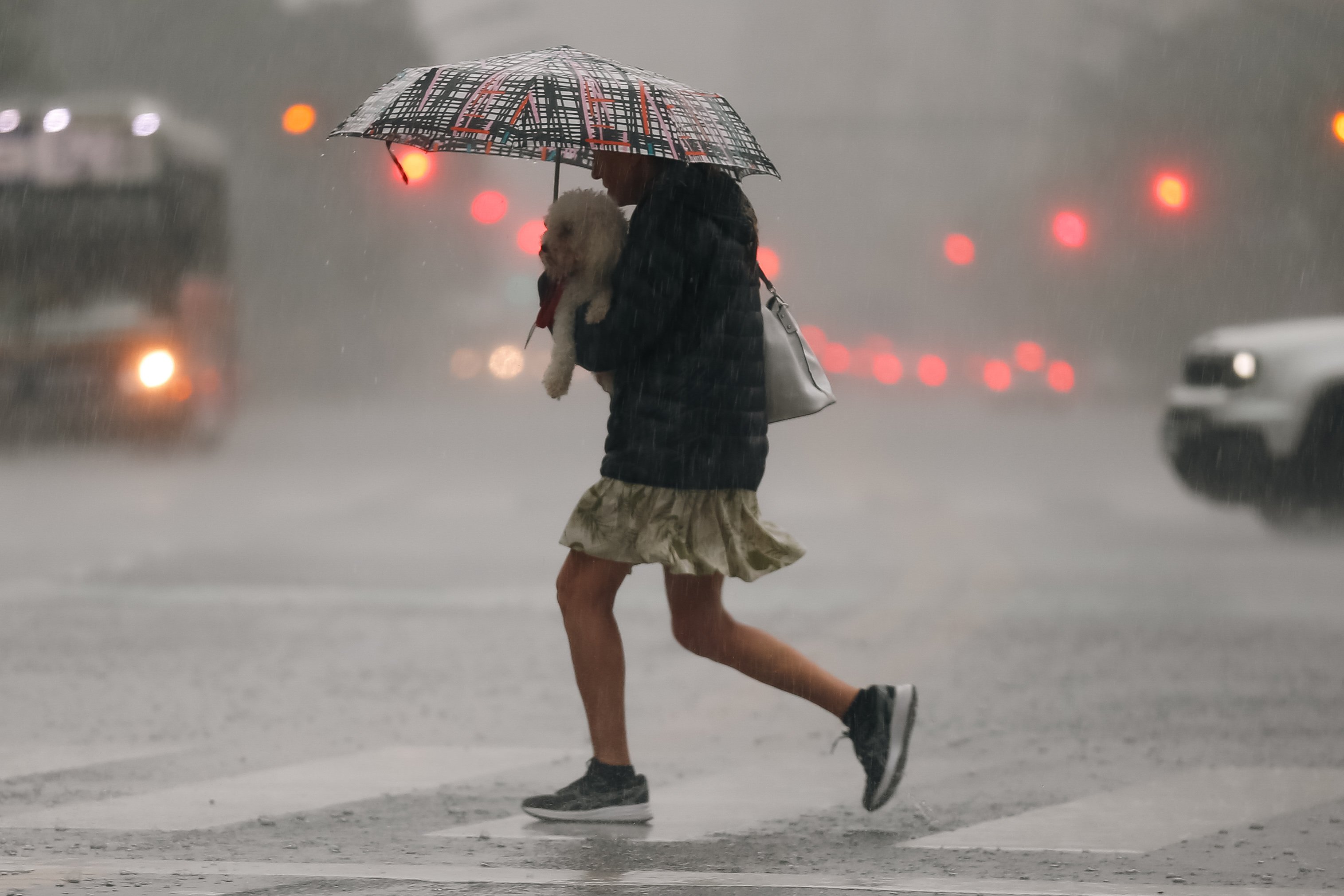 Un fuerte temporal de lluvia y viento tiene bajo alerta a la provincia de Buenos Aires