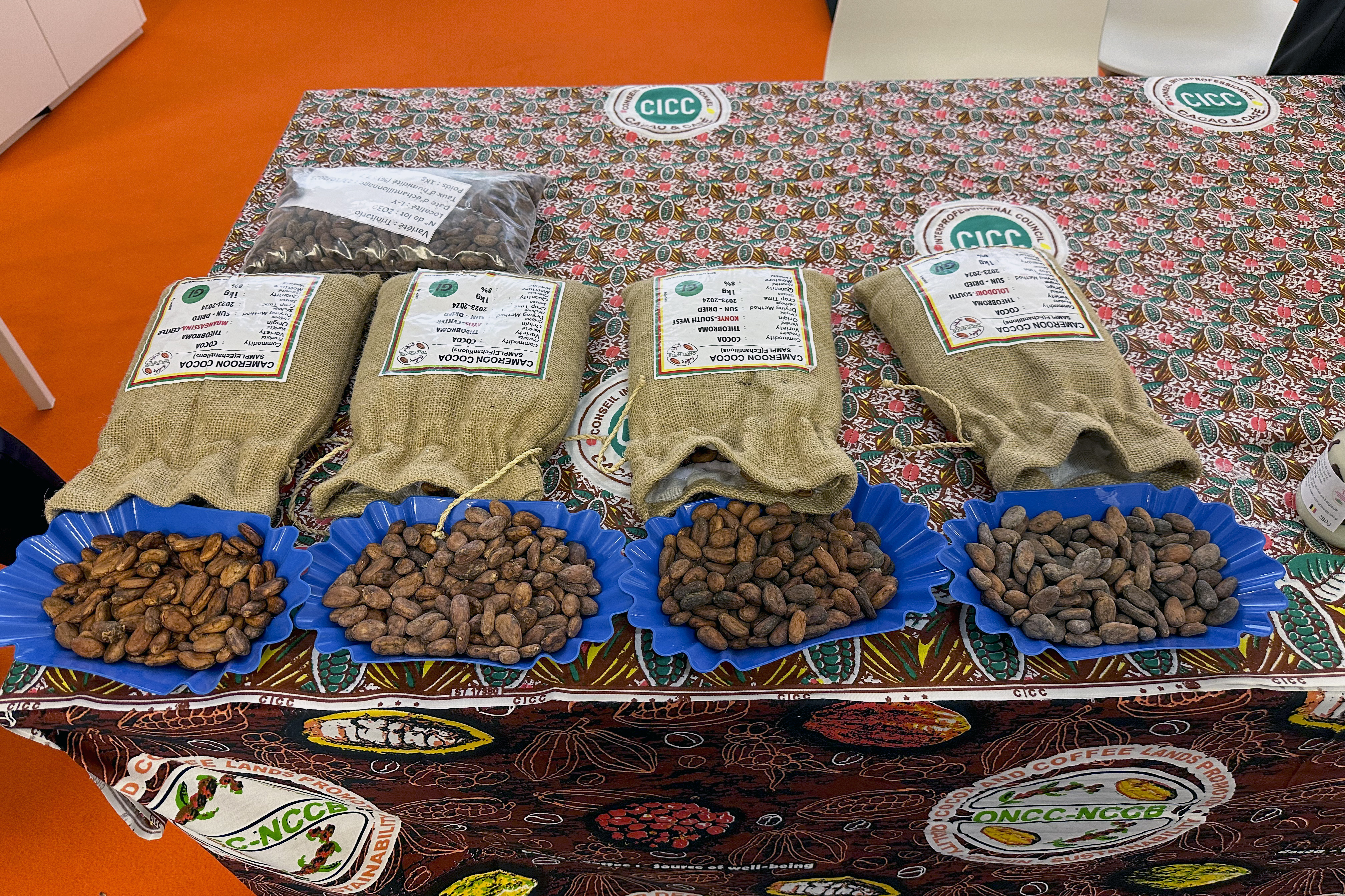 El sector del cacao reclama ingresos justos y apoya la subida de precios