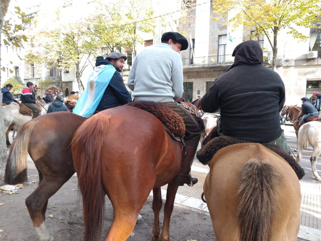 protesta caballos 1