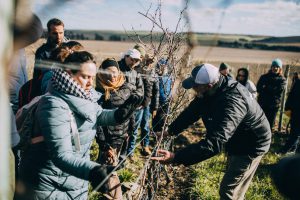 Curso agro1