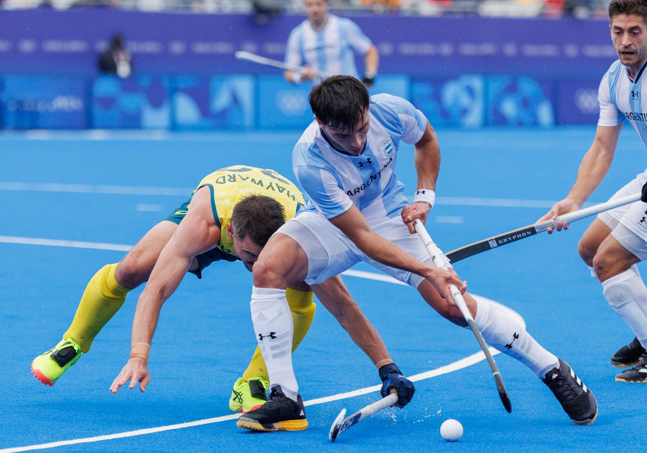 leones2