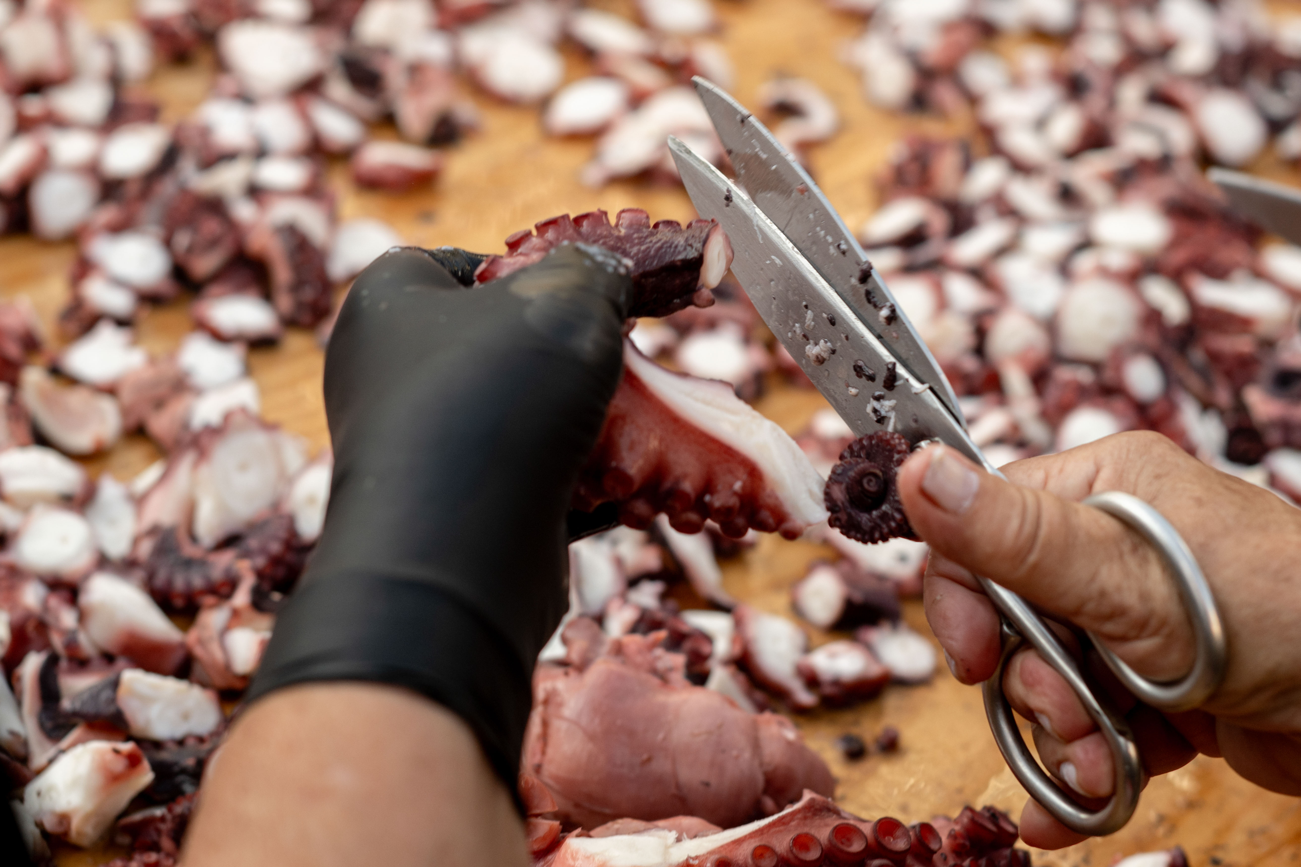 O Carballiño (Ourense) bate su récord con una tapa de pulpo 'olímpica' de casi 600 kilos