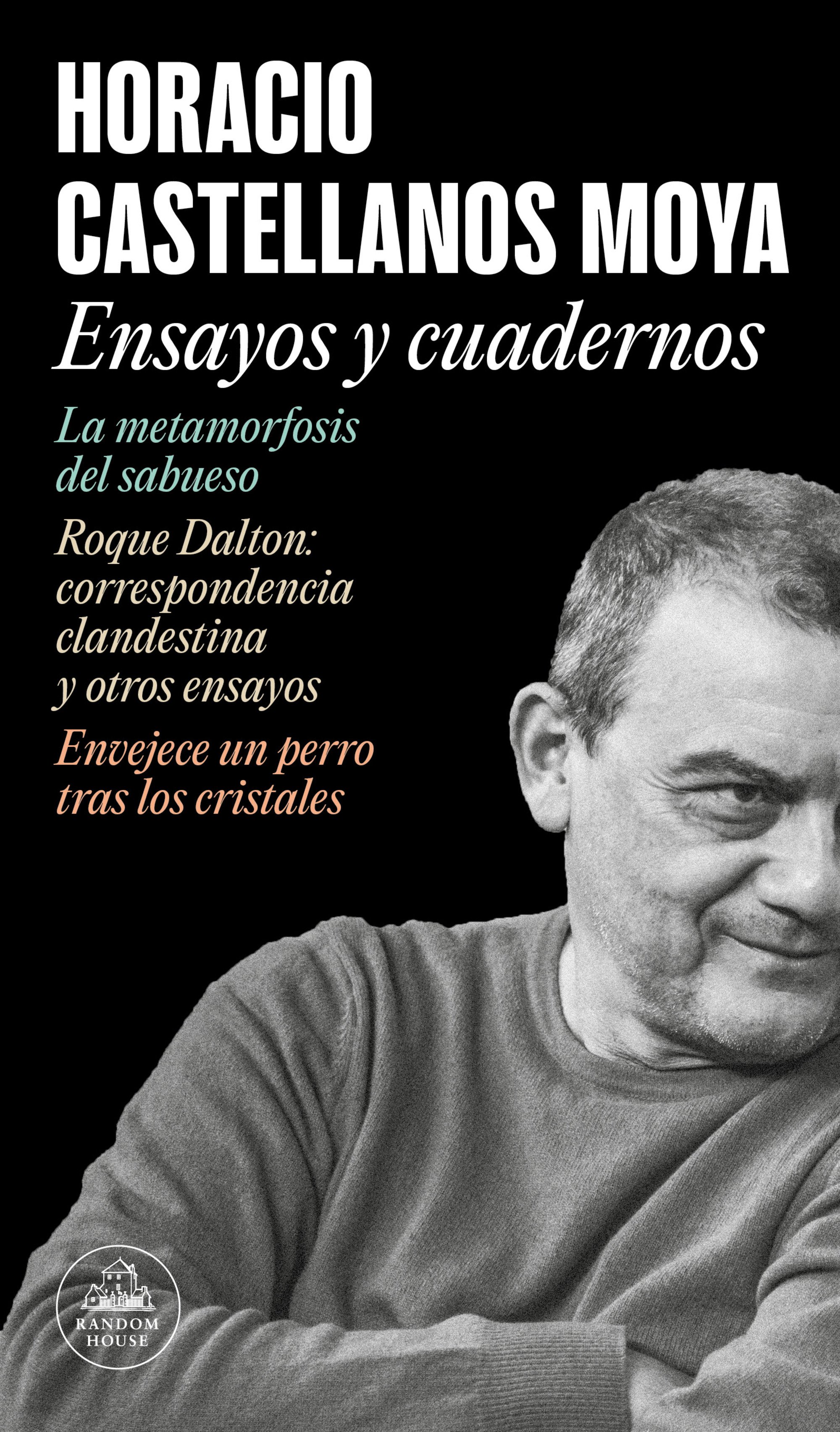 Ensayos y cuadernos Horacio Castellanos Moya