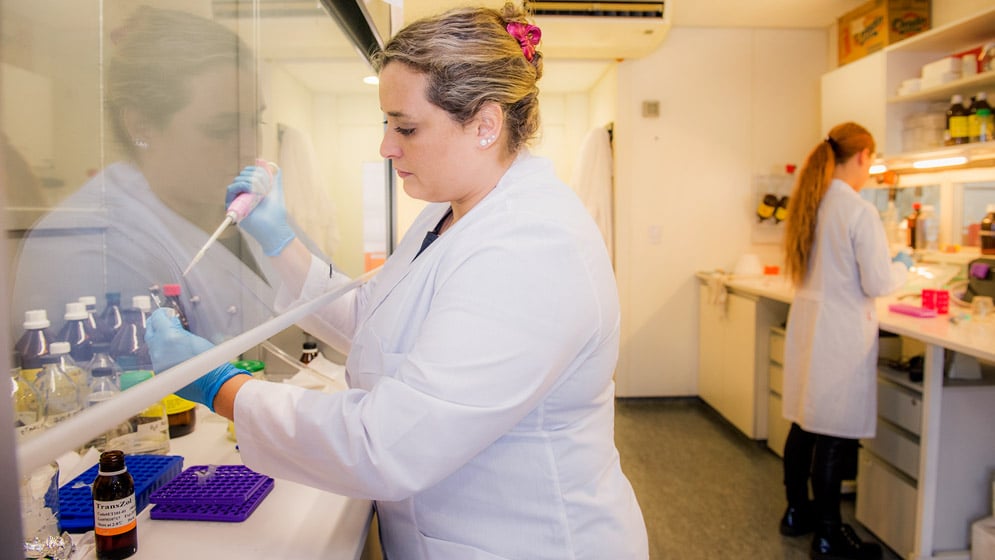 Florencia Cayrol realiza estudios que apuntan a la mejora de los tratamientos de los linfomas de células T, un tipo de cáncer hematológico muy agresivo. Foto: CONICET (Fotografía/ Verónica Tello)