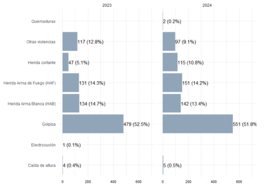 Distribución de causas de consulta de casos que ingresan por situaciones de violencia hasta agosto. Año 2023 y 2024.