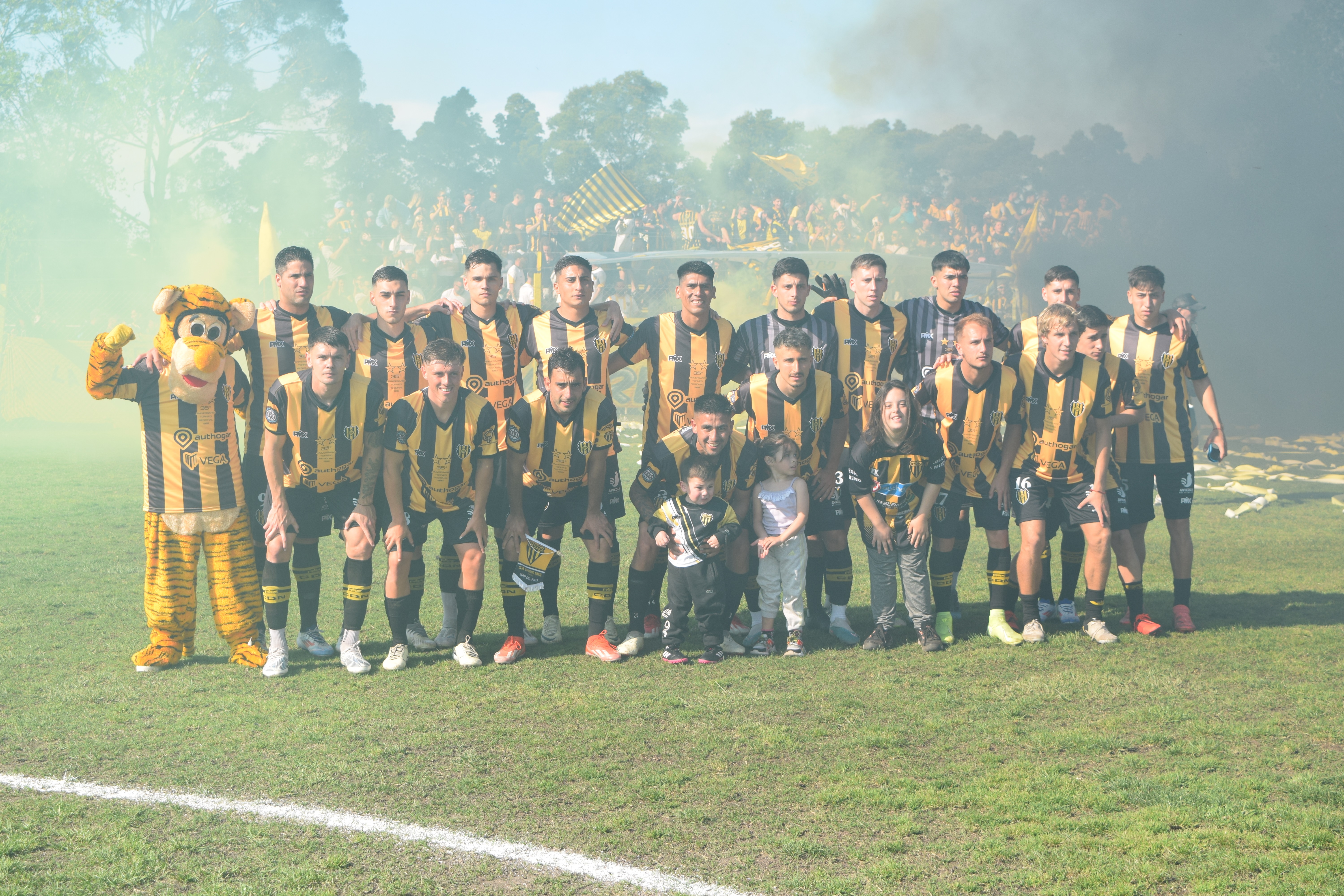 nortedebut