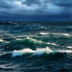 En vivo: seguí la expedición que recorre el fondo del mar frente a Mar del Plata