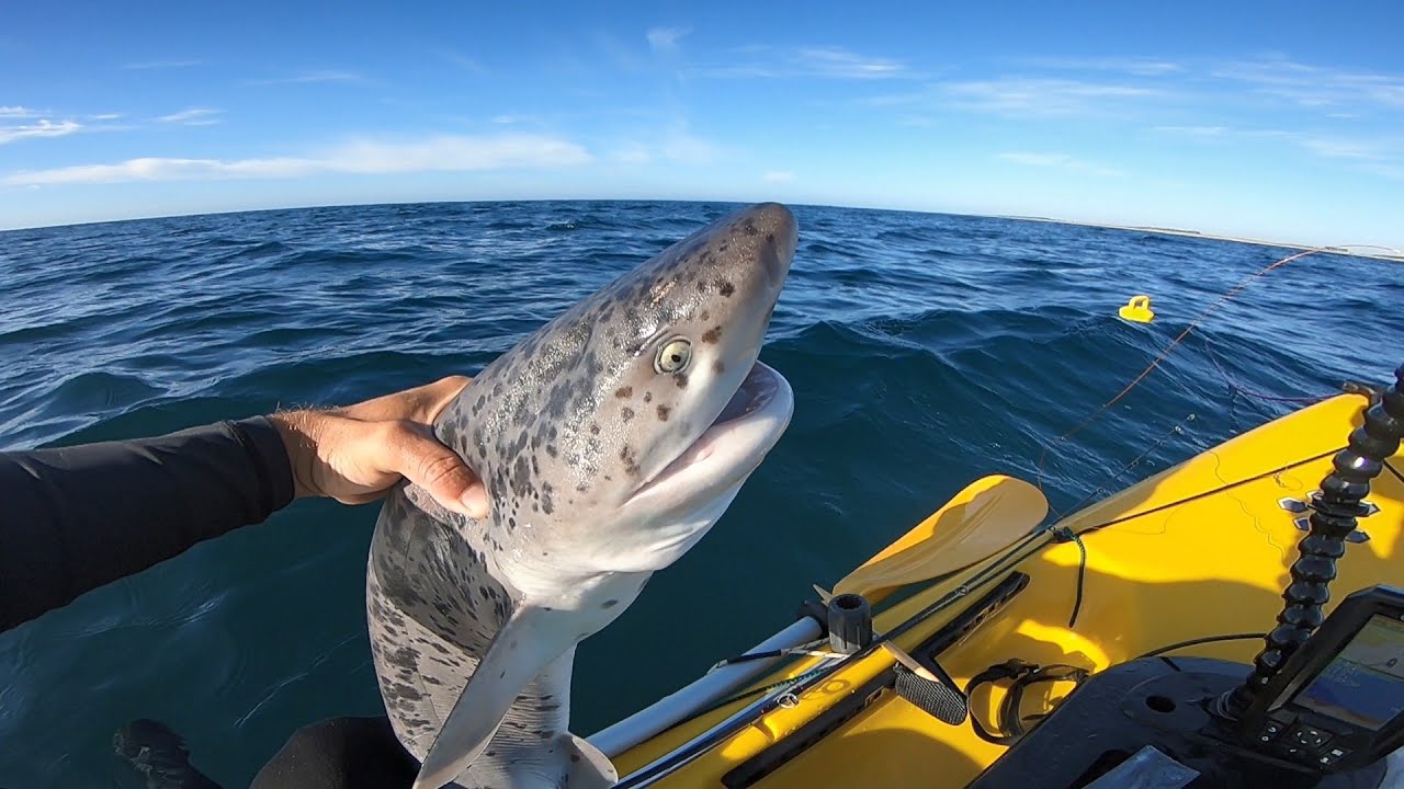 pesca+kayak+tiburcio