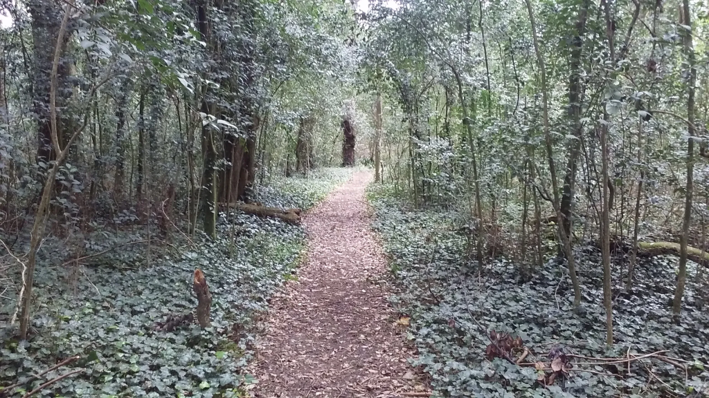 Bosque Encantado, General Belgrano.