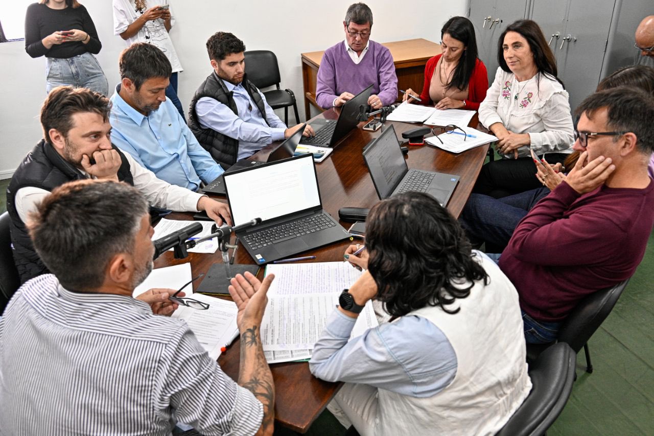 La reunión de la comisión de Salud del Concejo en que se debatió sobre la emergencia alimentaria. 