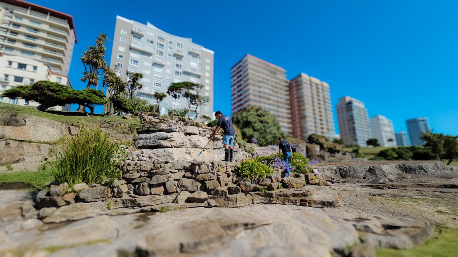 Fotos MGP - Avanzan las obras de recuperación del Parque San Martín (4)