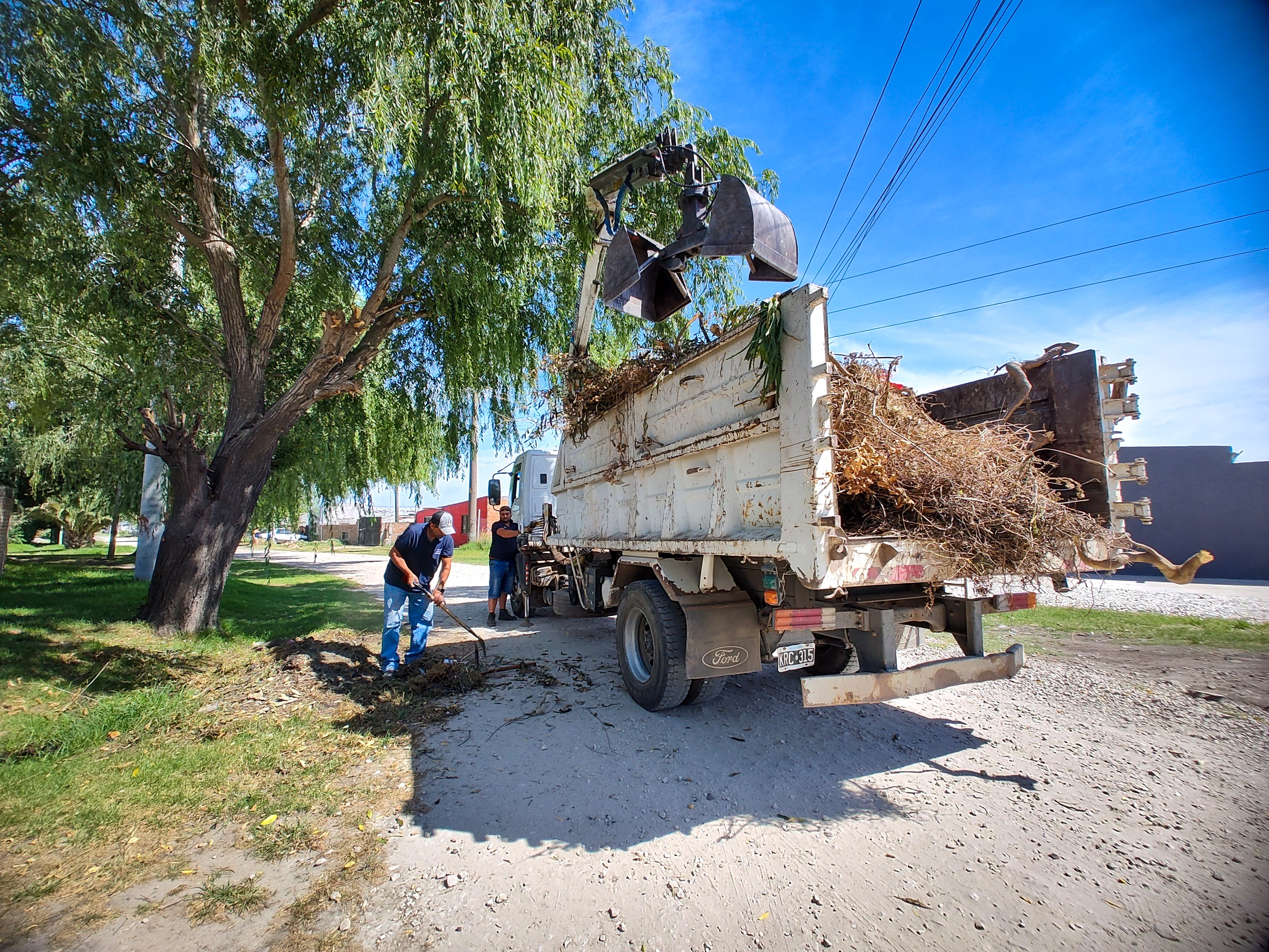 WhatsApp Image 2025-01-22 at 12.03.08