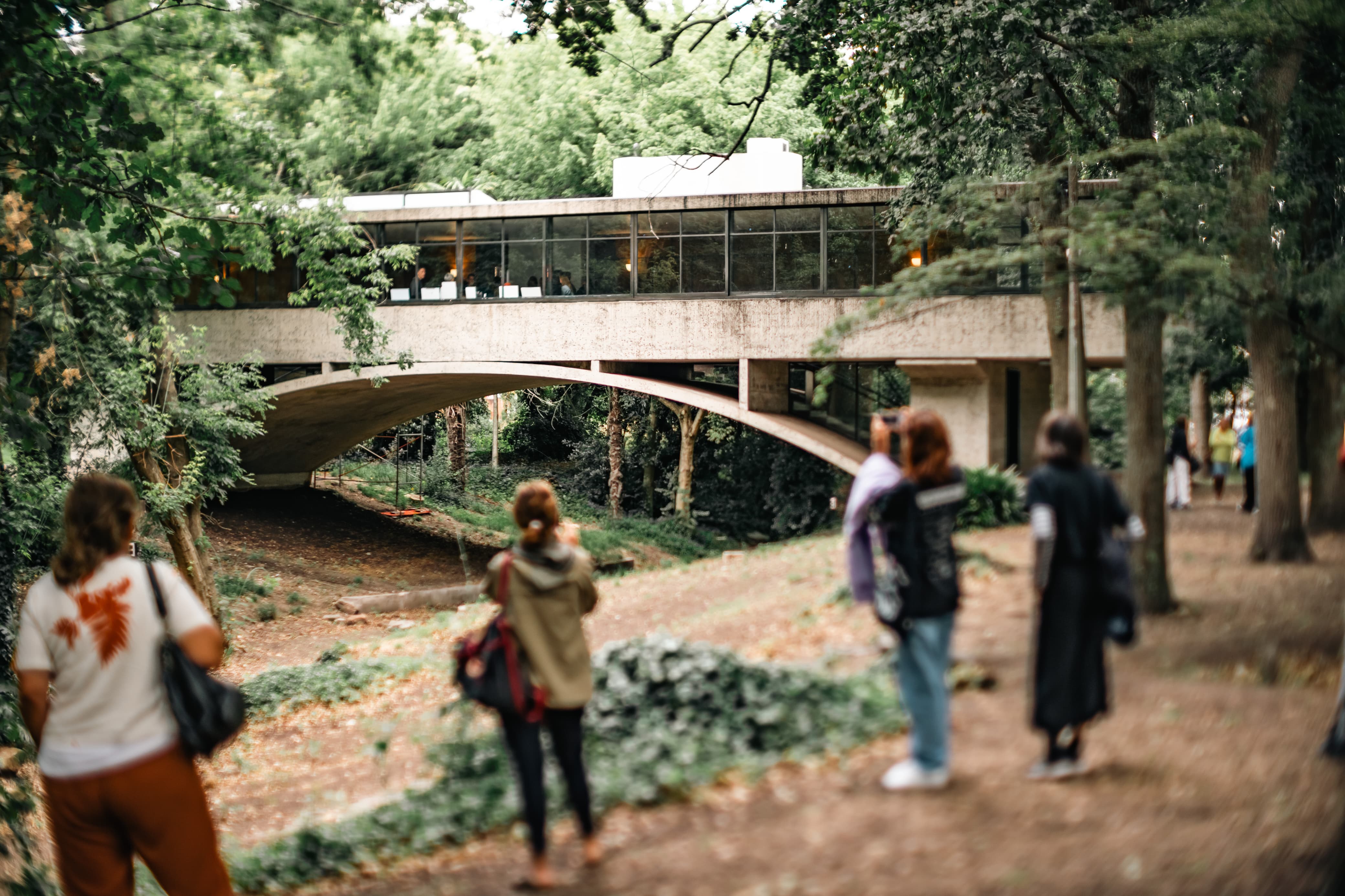 WhatsApp Image 2025-01-31 at 10.29.59