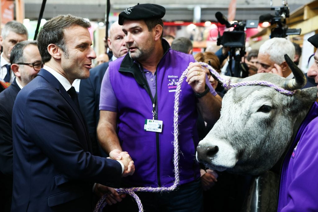 Macron: “Haremos todo lo posible para que el acuerdo UE-Mercosur no salga adelante” « Diario La Capital de Mar del Plata