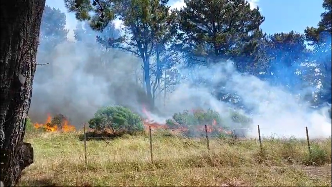 incendio1