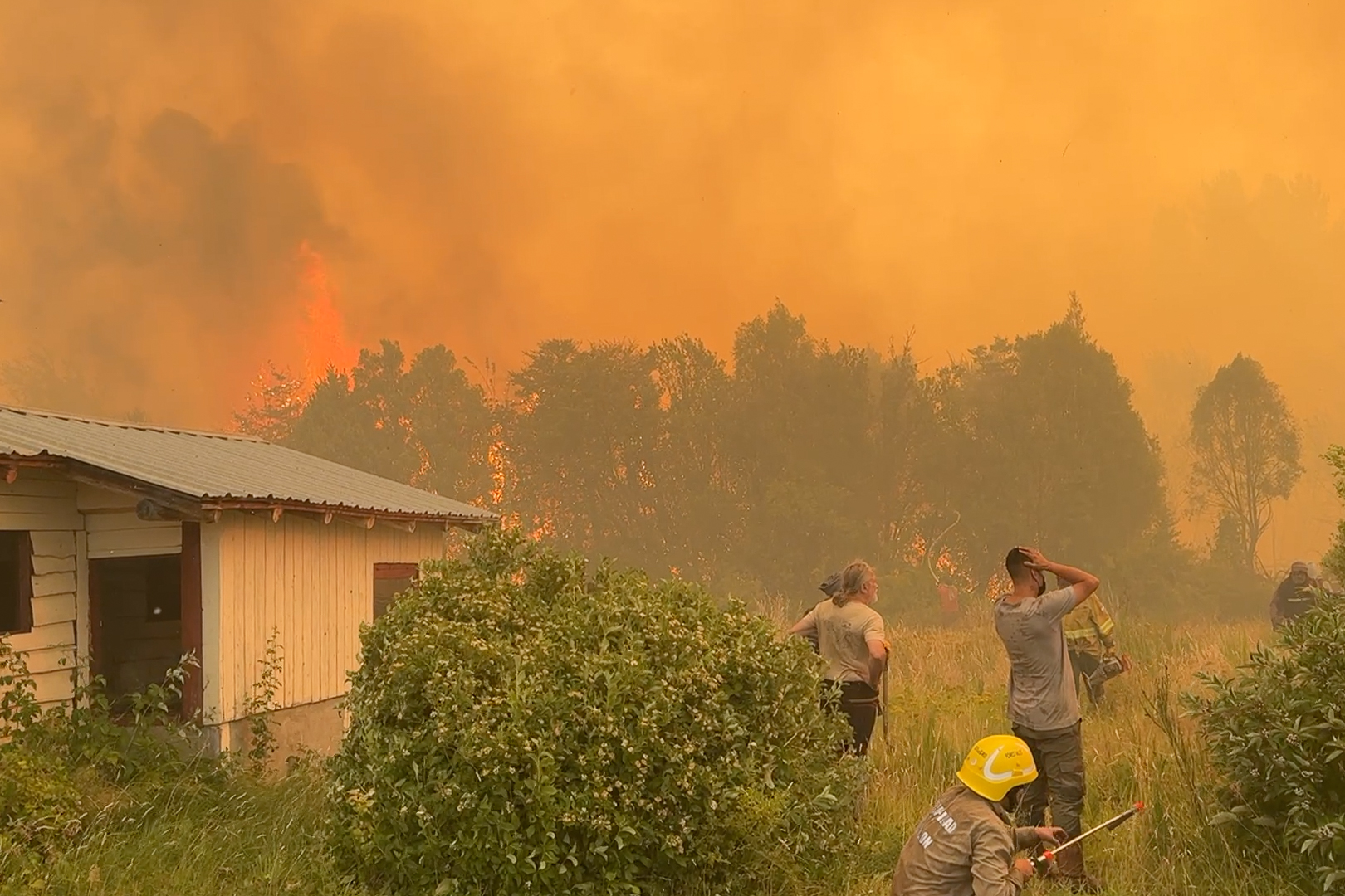 Evacuaciones en Río Negro por devastadores incendios forestales