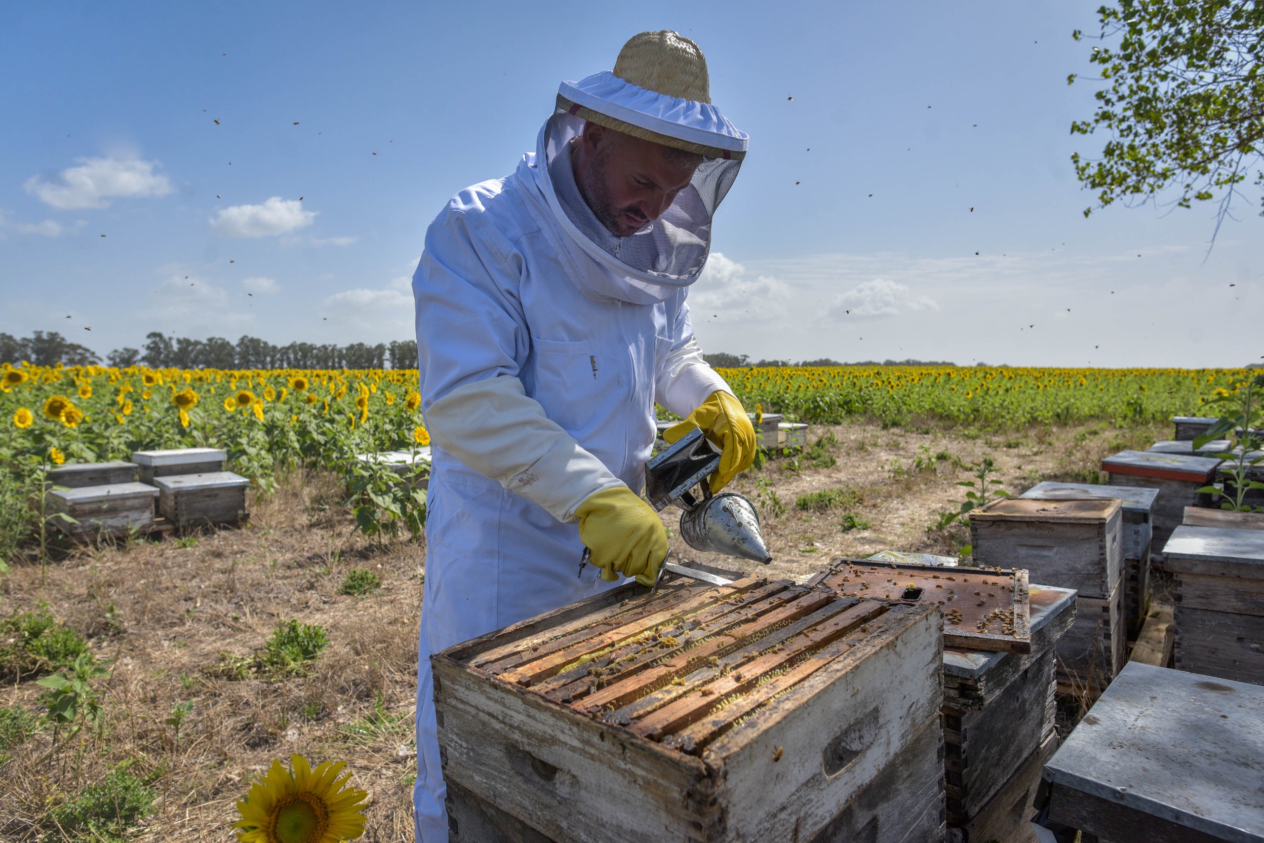 WhatsApp Image 2025-03-06 at 09.42.07