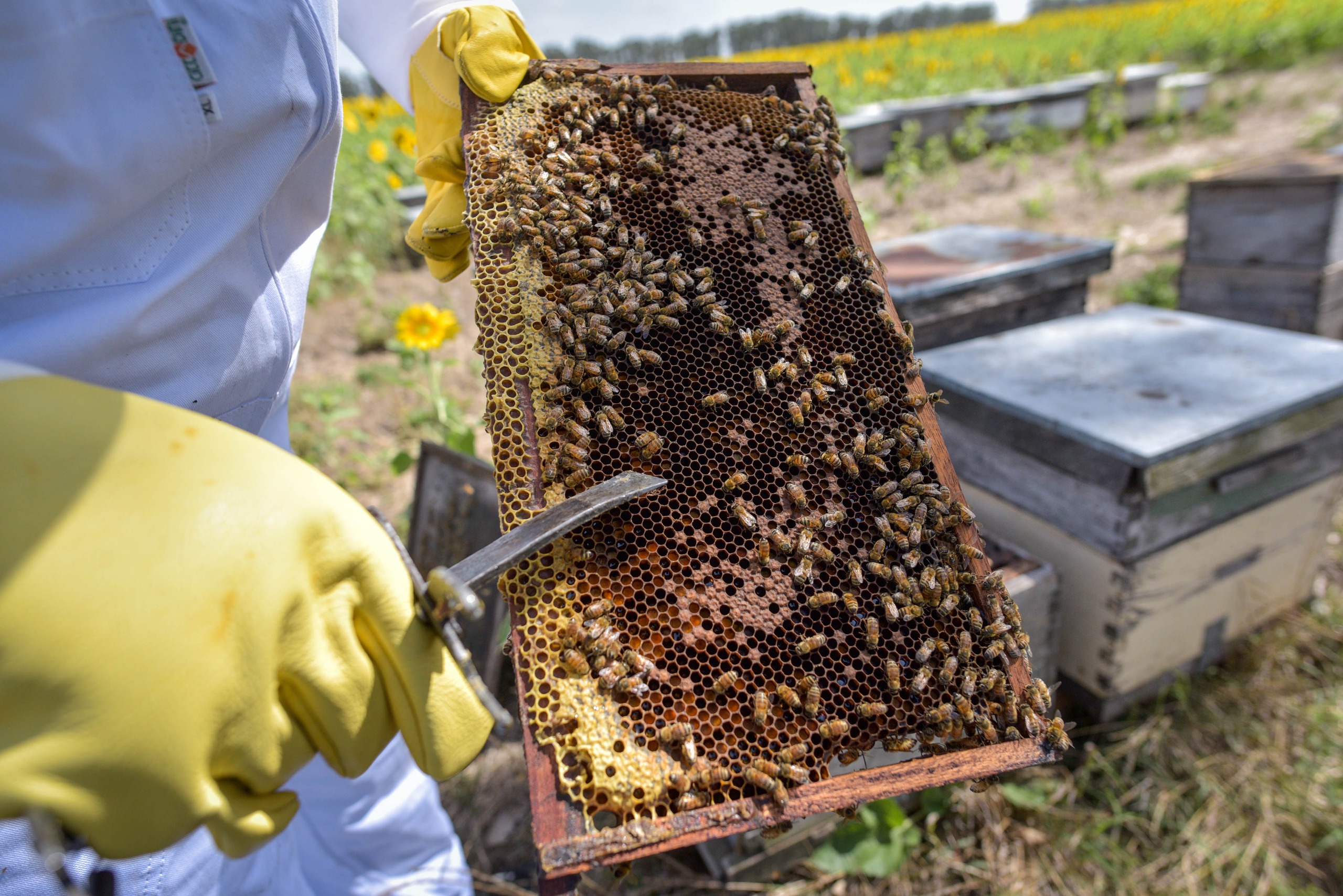 WhatsApp Image 2025-03-06 at 09.42.08 (1)