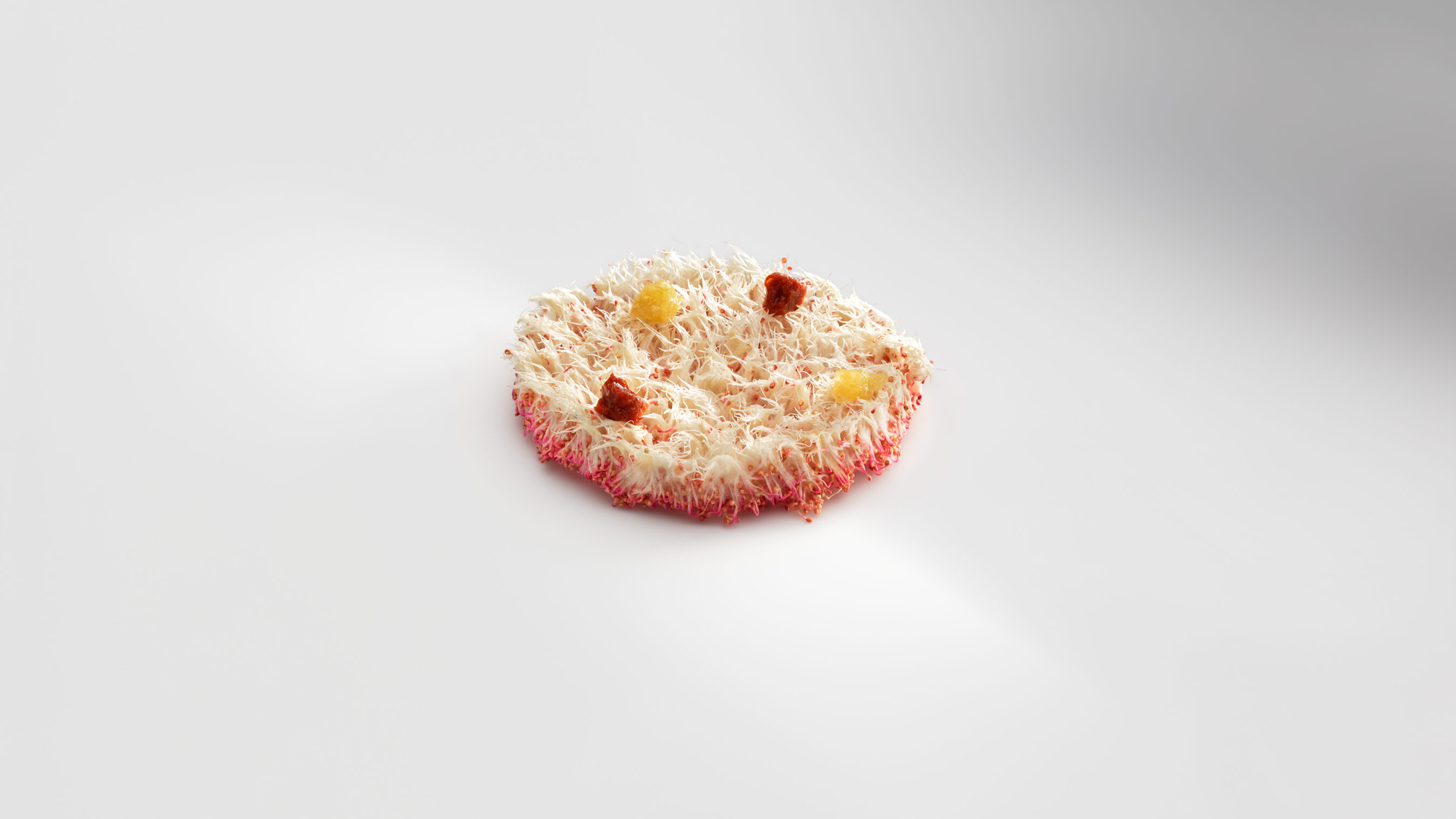 Semillas-de-amaranto_JoseLuisLopezDeZubiria-2700x1519