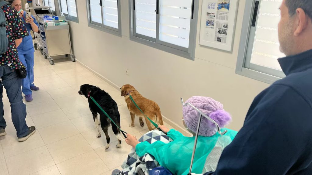 WhatsApp Image 2025-04-09 at 13.06.09