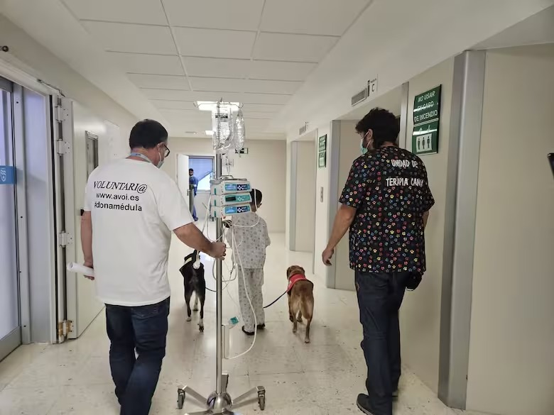 WhatsApp Image 2025-04-09 at 13.23.48