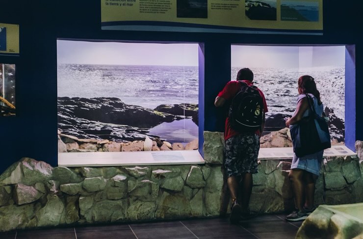 WhatsApp Image 2025-04-29 at 10.26.04 (1)