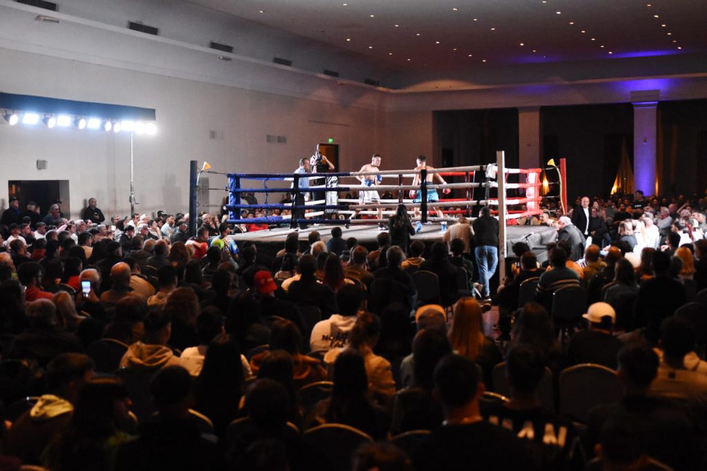 boxpro13