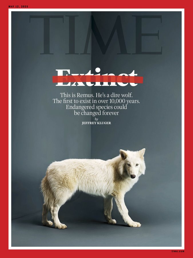 La tapa de Time.