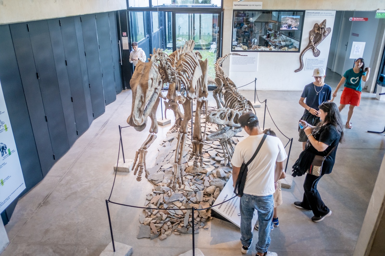 Museo Municipal de Ciencias Naturales Lorenzo Scaglia