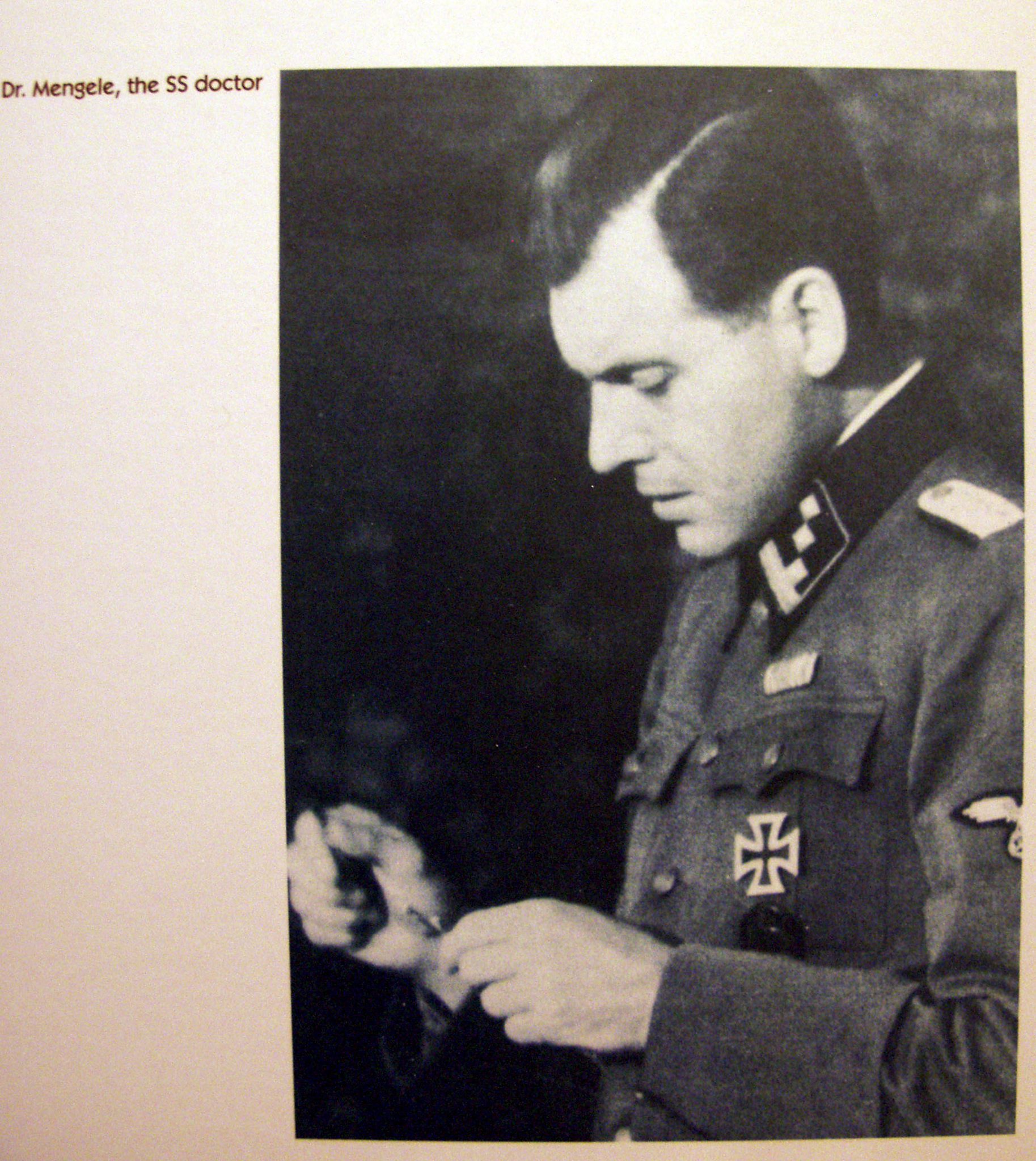 El esqueleto del Ángel de la Muerte de Auschwitz yace olvidado en una caja en São Paulo