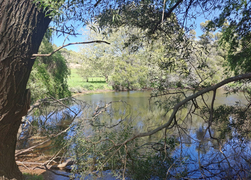 Sierradelaperegrina2