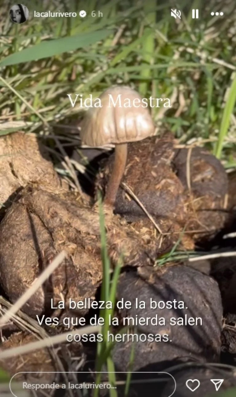 WhatsApp Image 2025-05-28 at 10.11.37