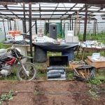 Prefectura desarticuló un invernadero destinado a producir sustancias ilegales